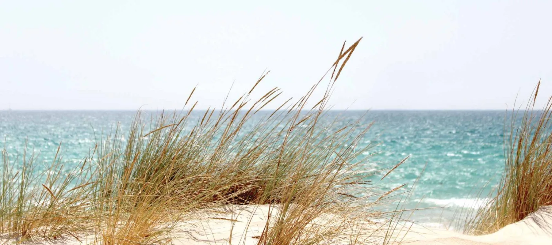 Praia de Armação de Pêra, Algarve